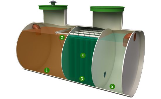 Изображение с сайта krym.inservo.ru